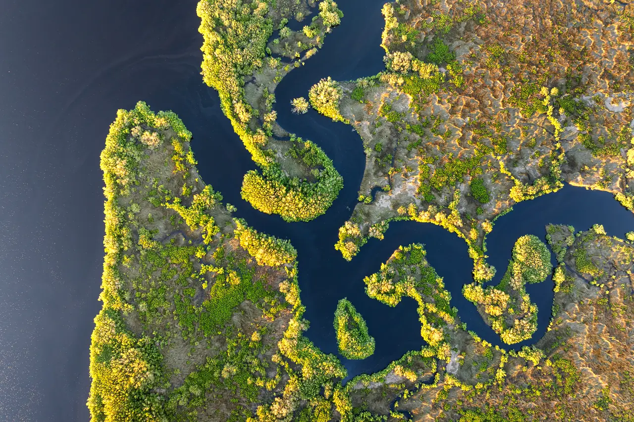 Wetlands wild tropical nature at sunset. Florida ecosystem landscape is typical of the Riversong location.